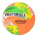 Мяч волейбольный - Profiball Professional - Volleyball Official Softtouch (арт. 1199ABC)
